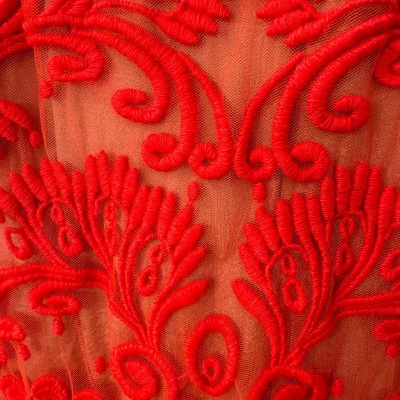 Anthropologie Baraschi embroidered skirt - Picture 3 of 9